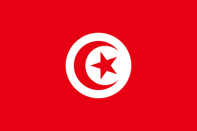 Otubio.com - Tunisia flag
